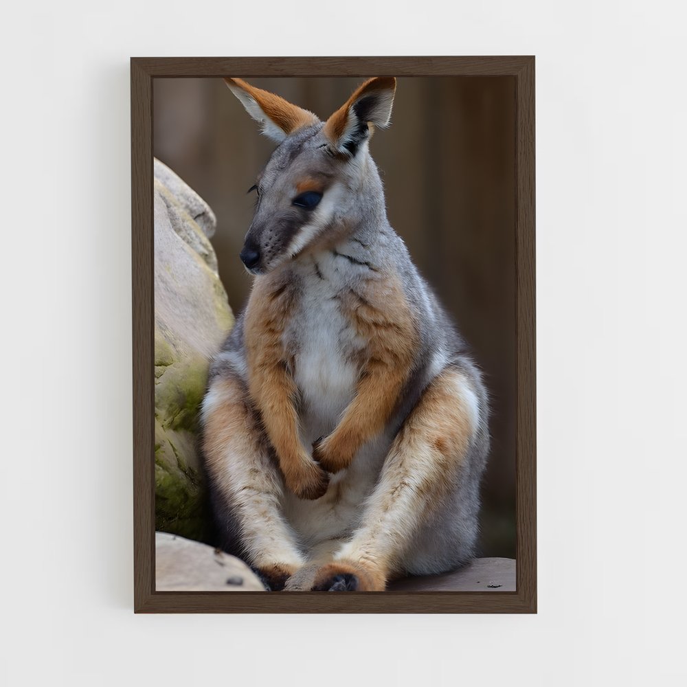 ap-wallaby-1 cadre Bois foncé