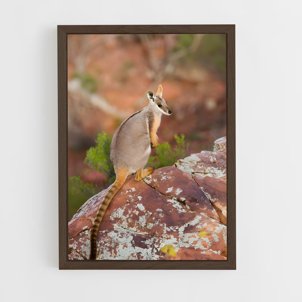 ap-wallaby-2 cadre Bois foncé