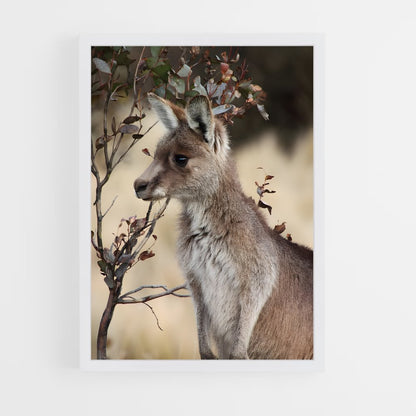 ap-wallaby-4 cadre Blanc