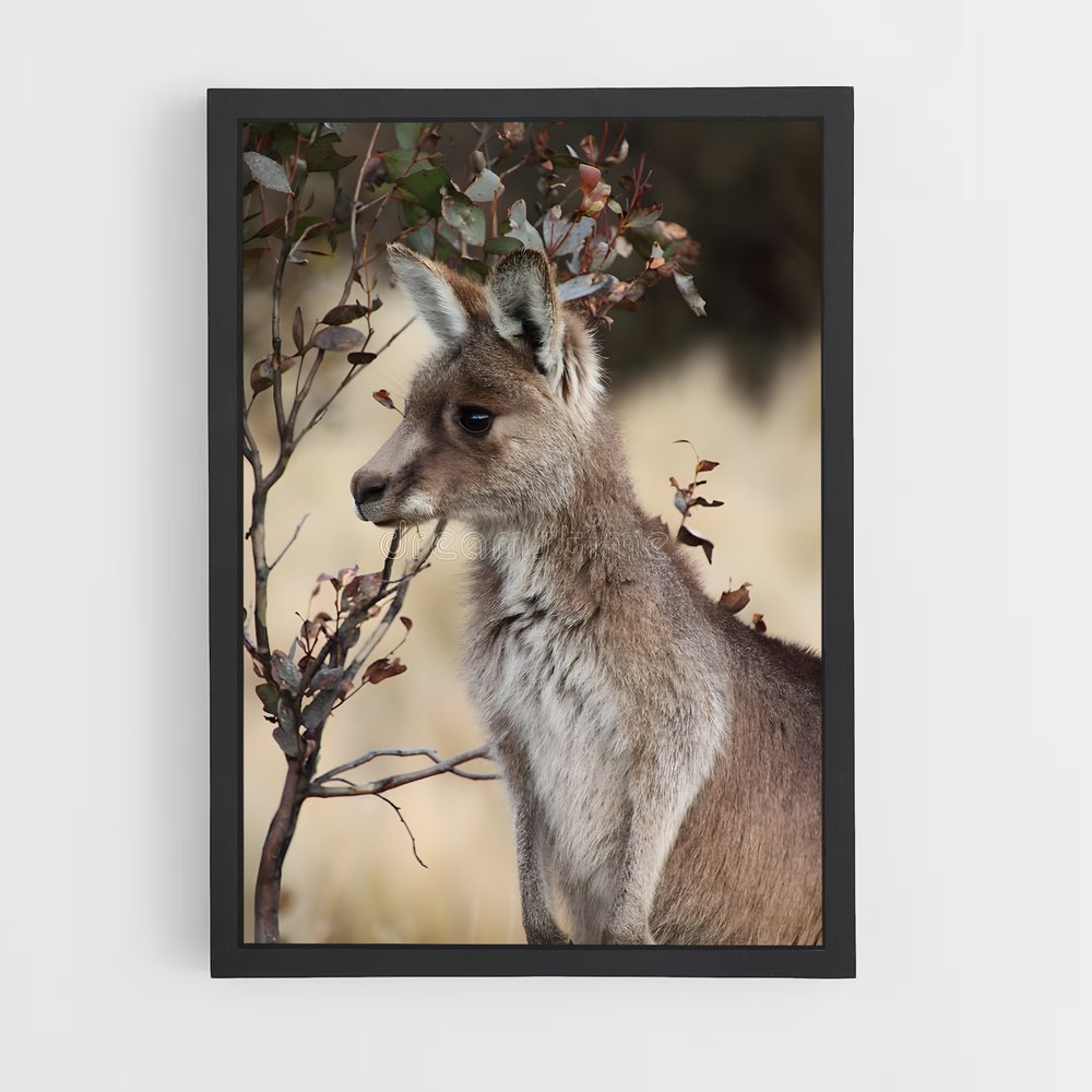 ap-wallaby-4 cadre Noir