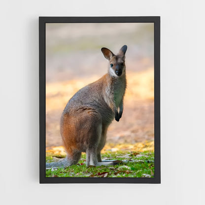 ap-wallaby-6 cadre Noir