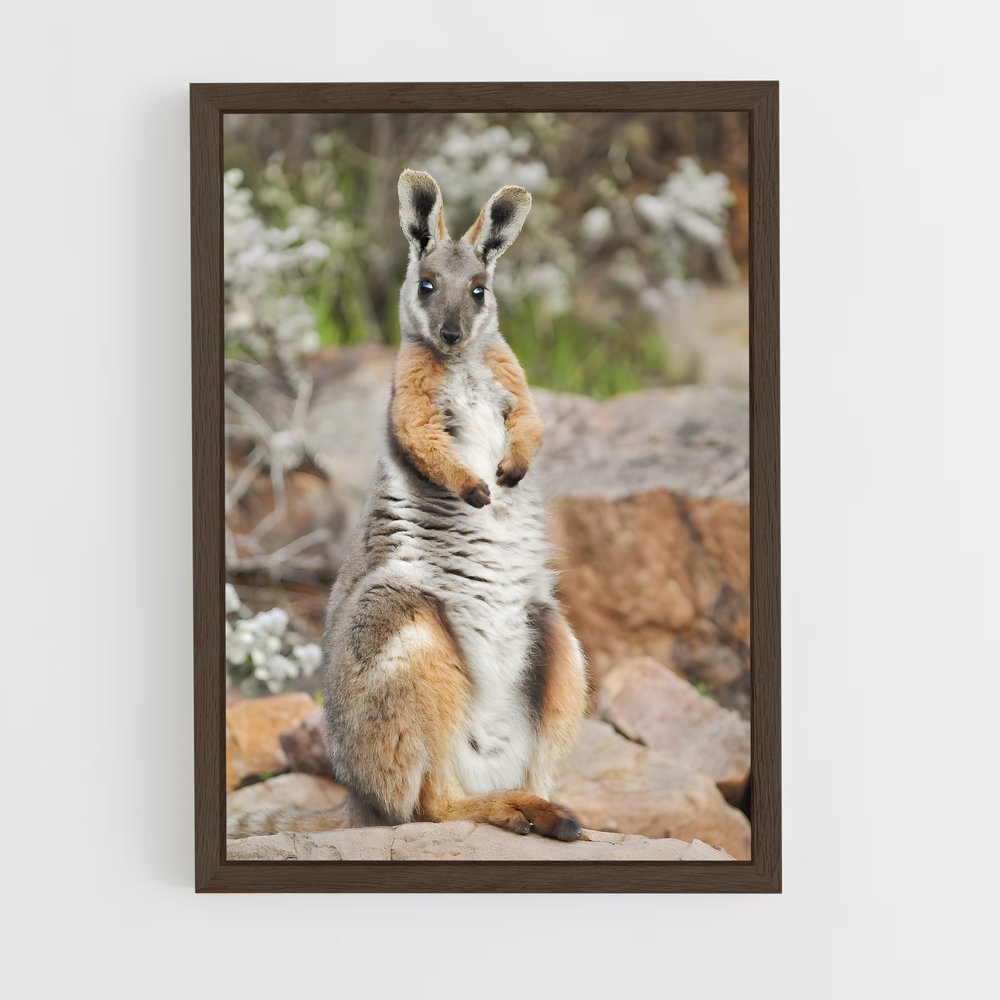 ap-wallaby-8 cadre Bois foncé