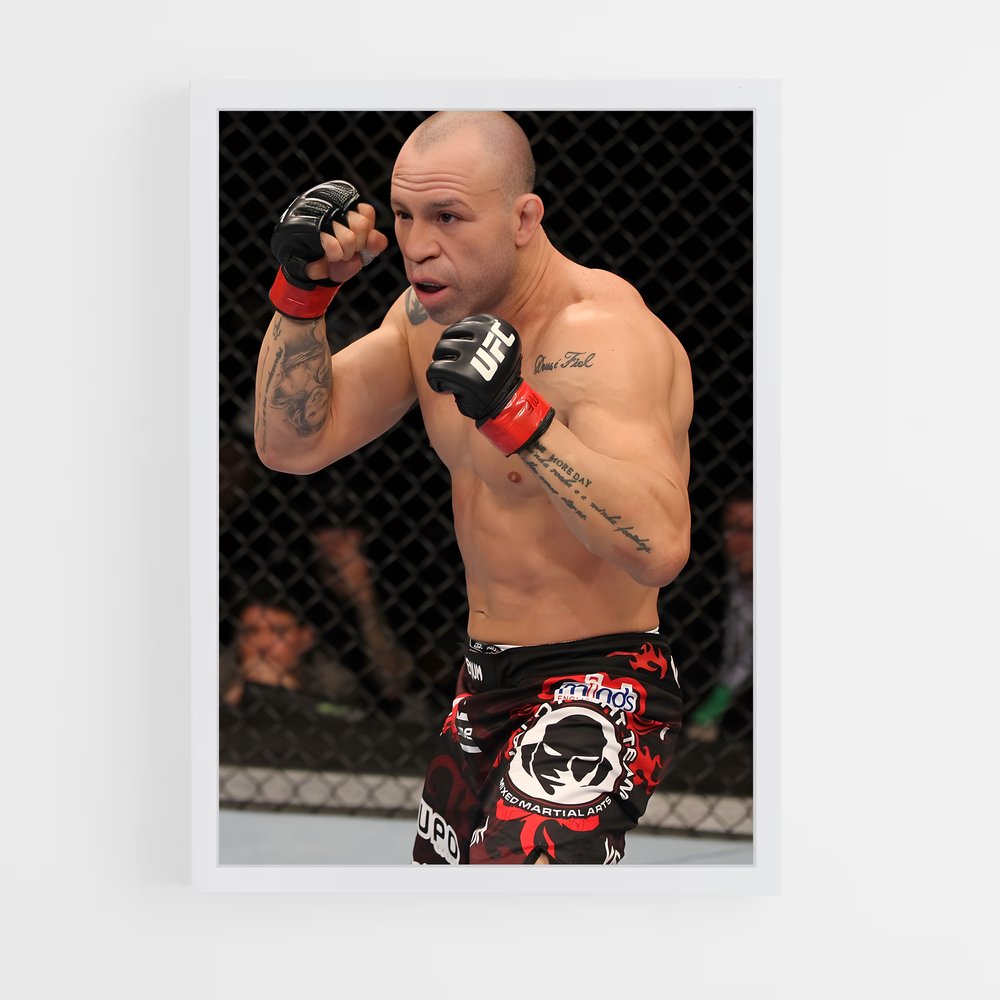 ap-wanderlei silva-1 cadre Blanc