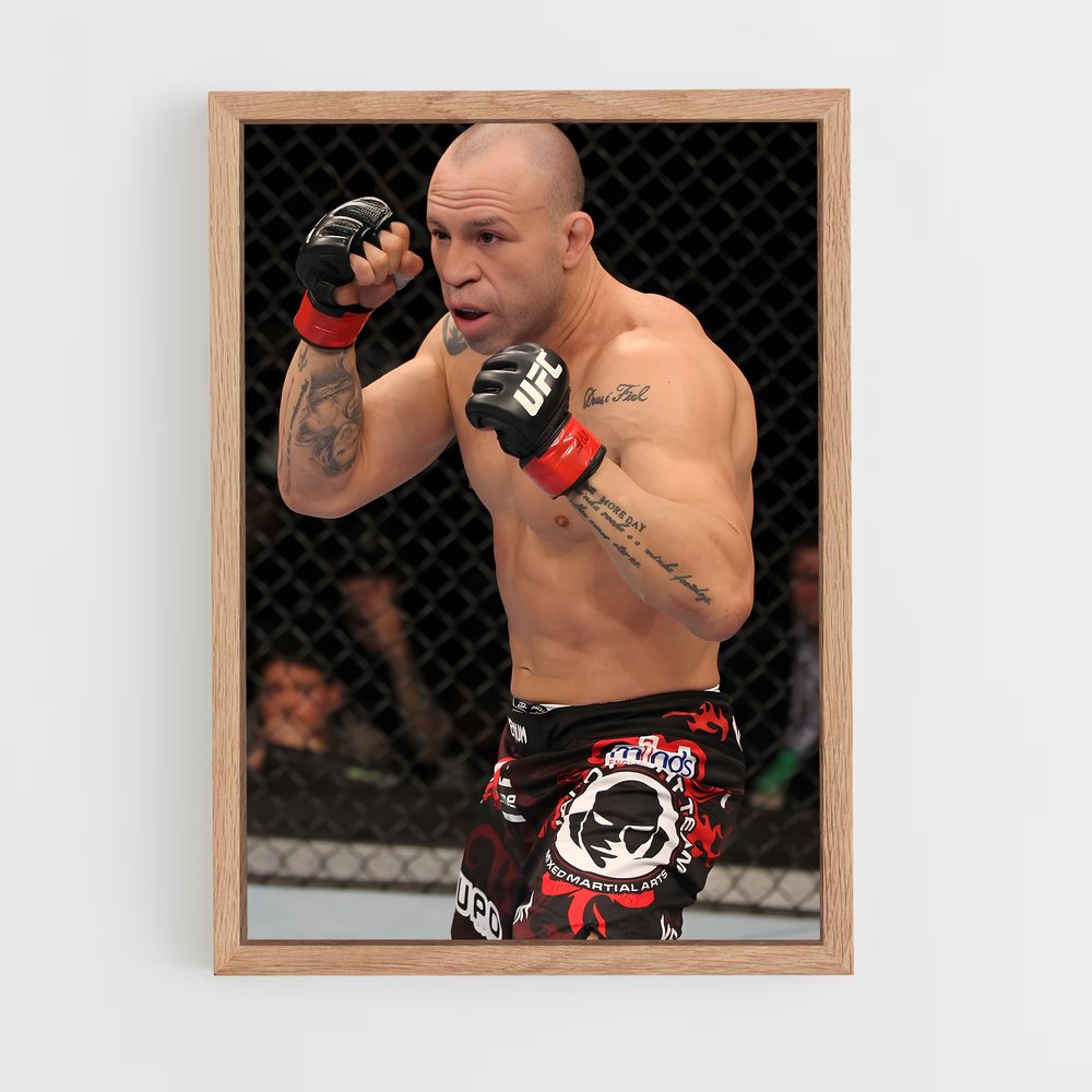 ap-wanderlei silva-1 cadre Bois clair