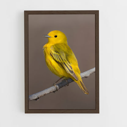 ap-warbler-4 cadre Bois foncé