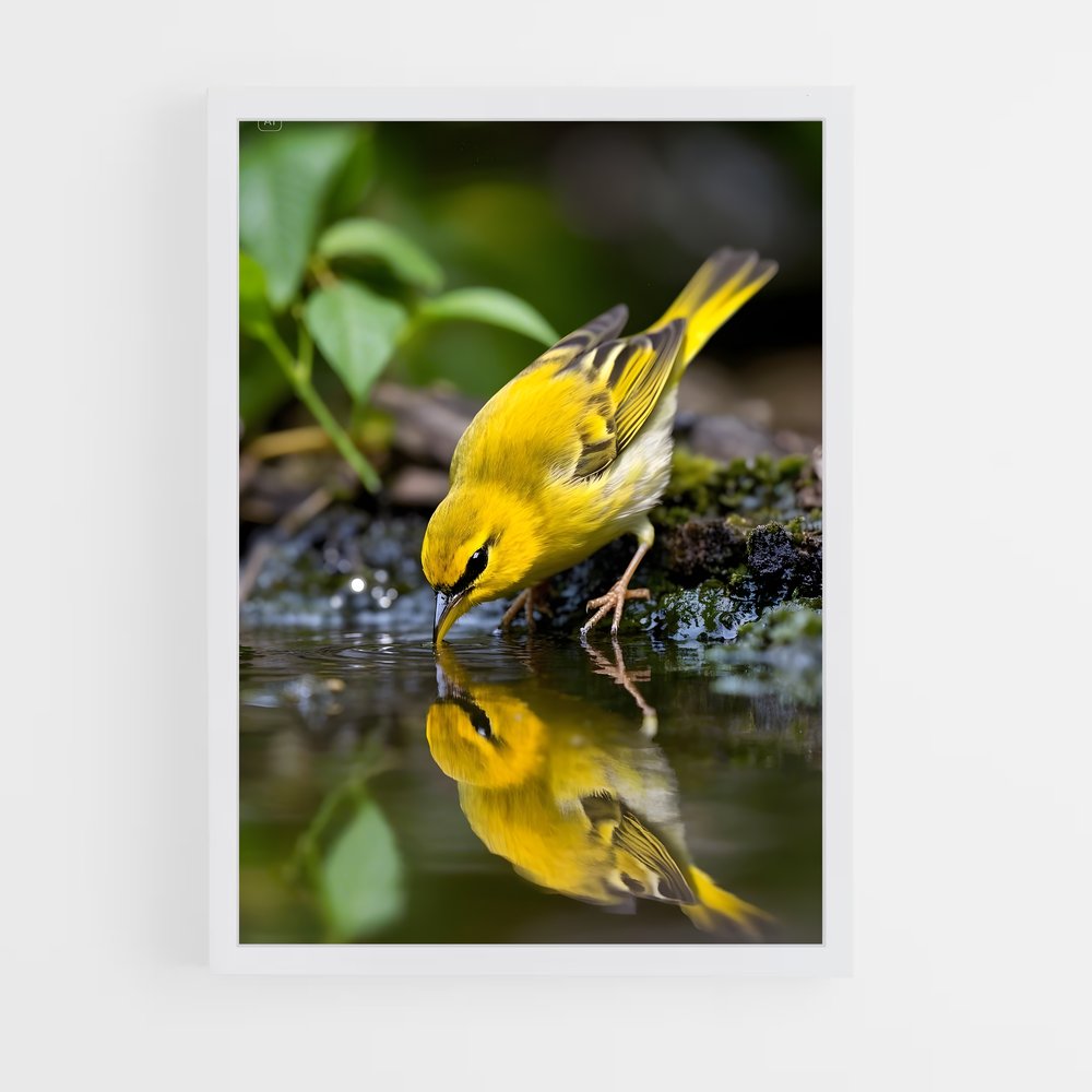 ap-warbler-6 cadre Blanc