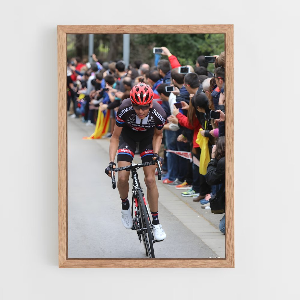 ap-warren barguil-4 cadre Bois clair