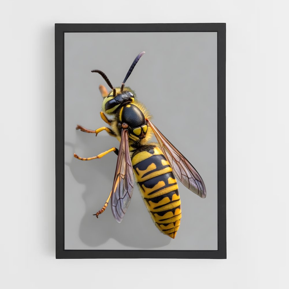 ap-wasp-17 cadre Noir