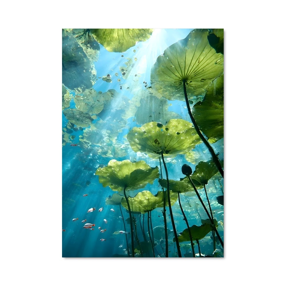 Poster Water lily 96287