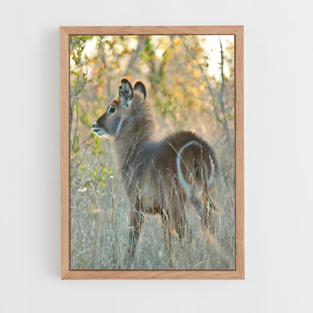 ap-waterbuck-7 cadre Bois clair