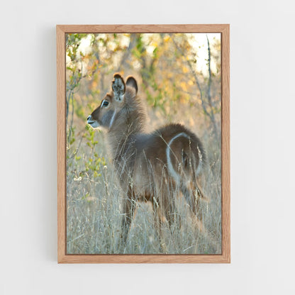 ap-waterbuck-7 cadre Bois clair