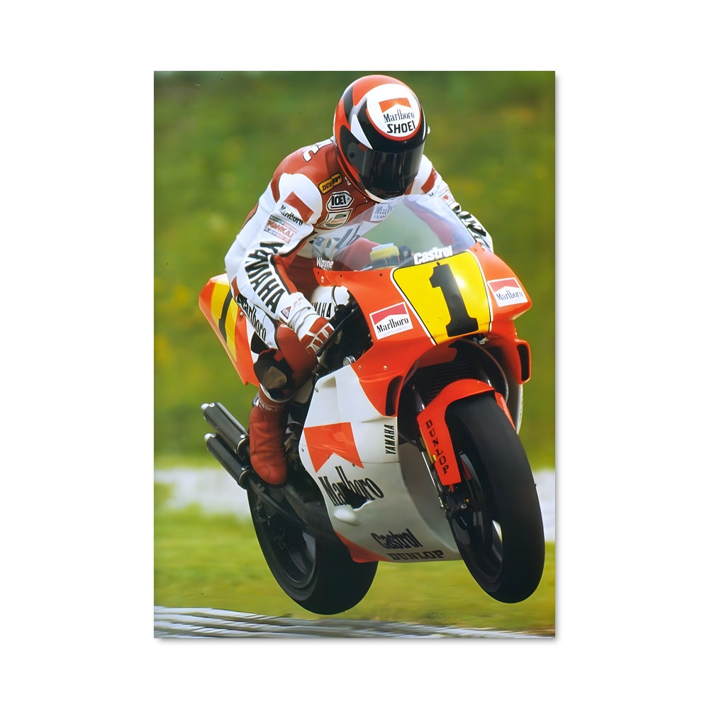 Poster Wayne rainey 64117
