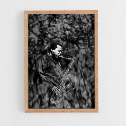 ap-wayne shorter-6 cadre Bois clair