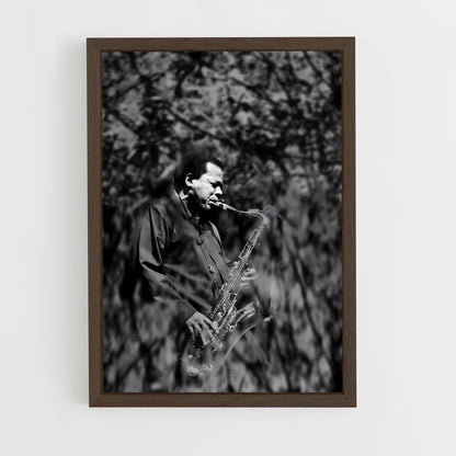 ap-wayne shorter-6 cadre Bois foncé