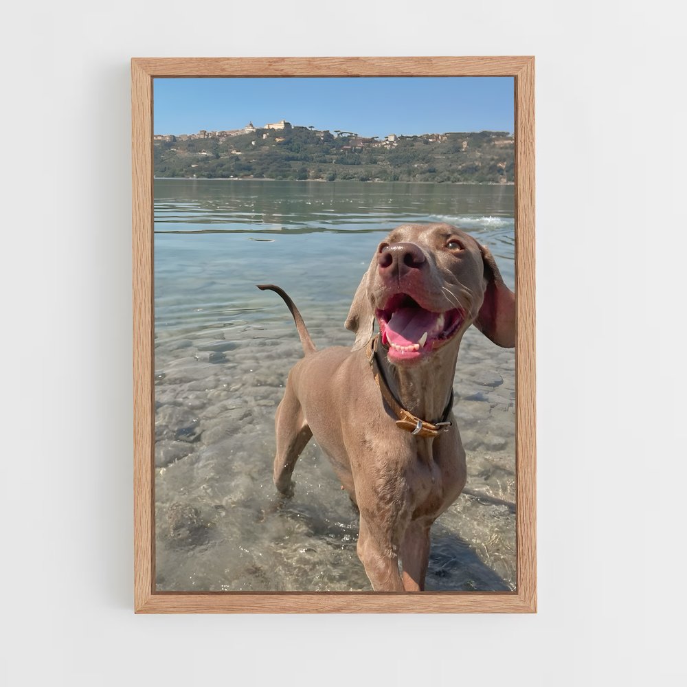 ap-weimaraner-1 cadre Bois clair