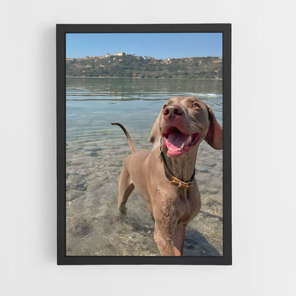 ap-weimaraner-1 cadre Noir