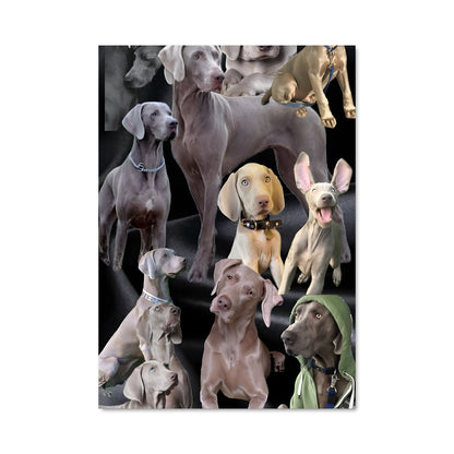 Poster Palette de Weimaraners