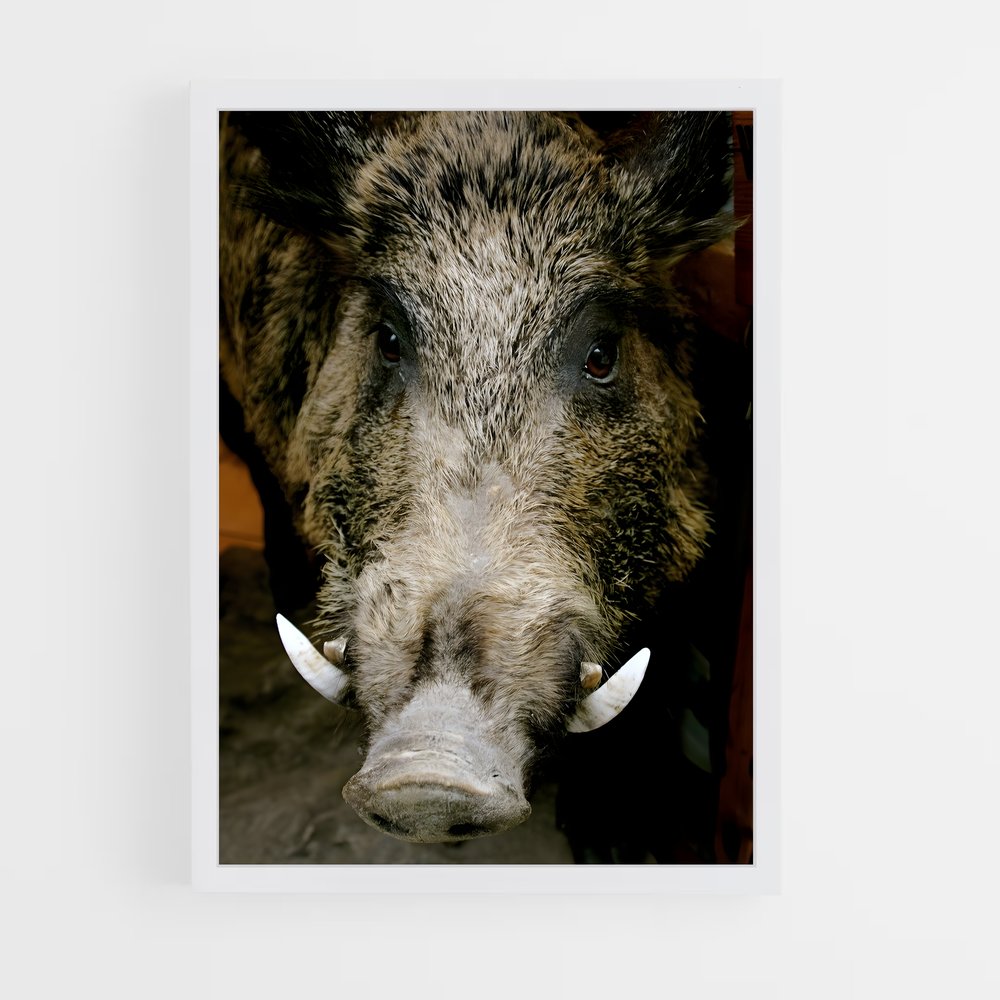 ap-wild boar-3 cadre Blanc