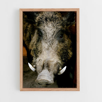ap-wild boar-3 cadre Bois clair