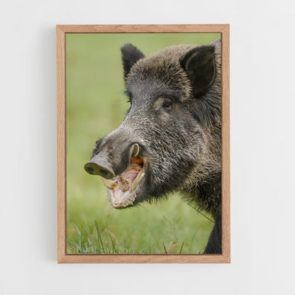 ap-wild boar-5 cadre Bois clair