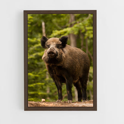 ap-wild boar-6 cadre Bois foncé