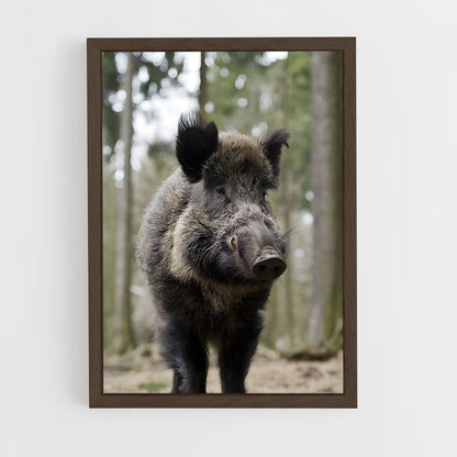 ap-wild boar-7 cadre Bois foncé