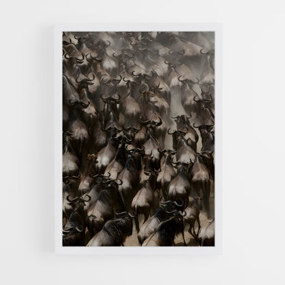 ap-wildebeest-1 cadre Blanc