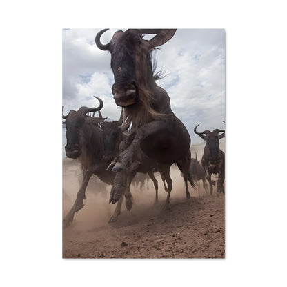 Poster Wildebeest 84608