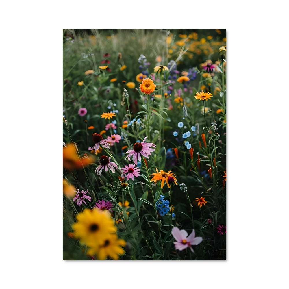 Poster Wildflower bloom 97659