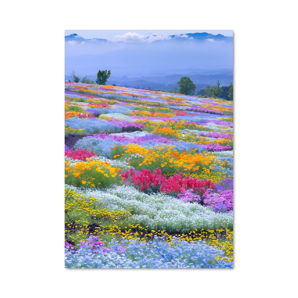 Poster Wildflower bloom 97662