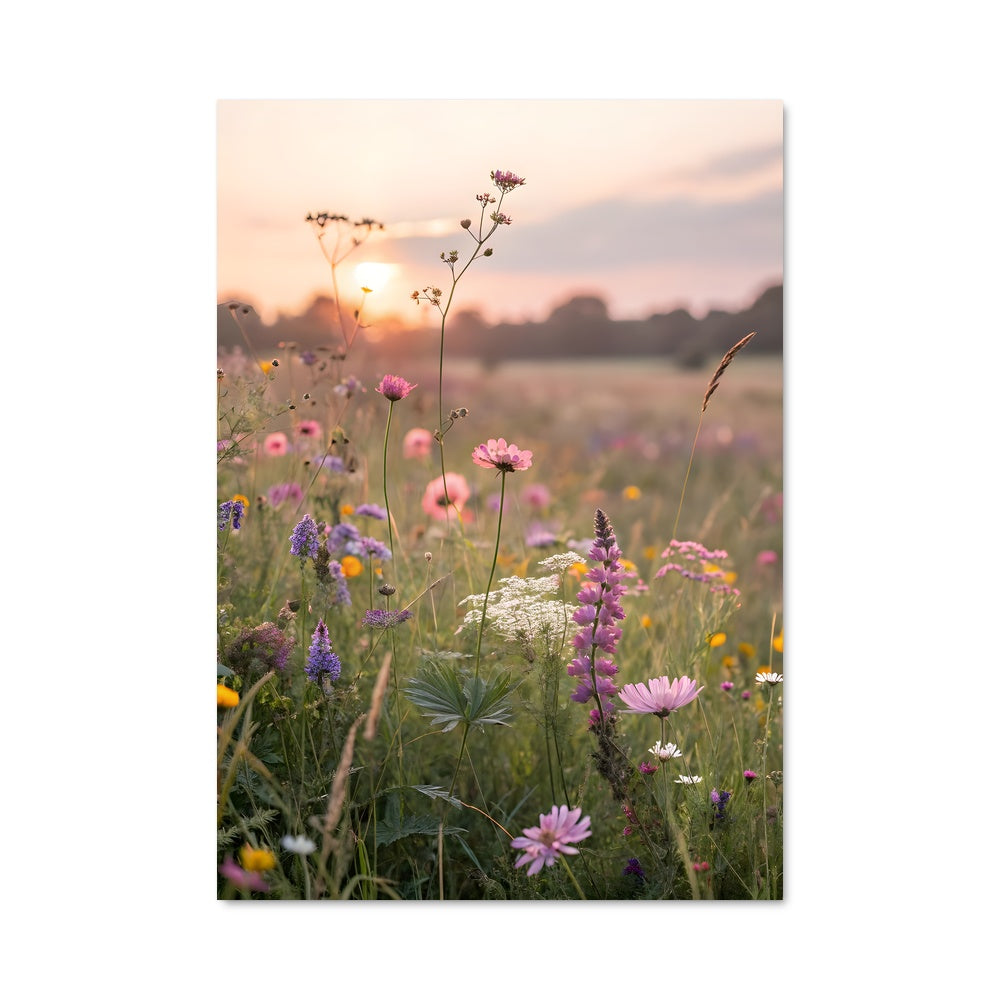 Poster Wildflower field 97403