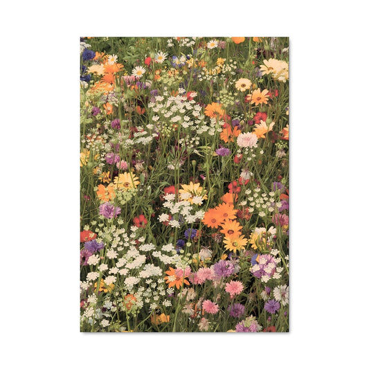 Poster Wildflower field 97428