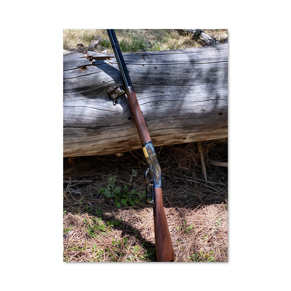Poster L'Esprit du Fusil