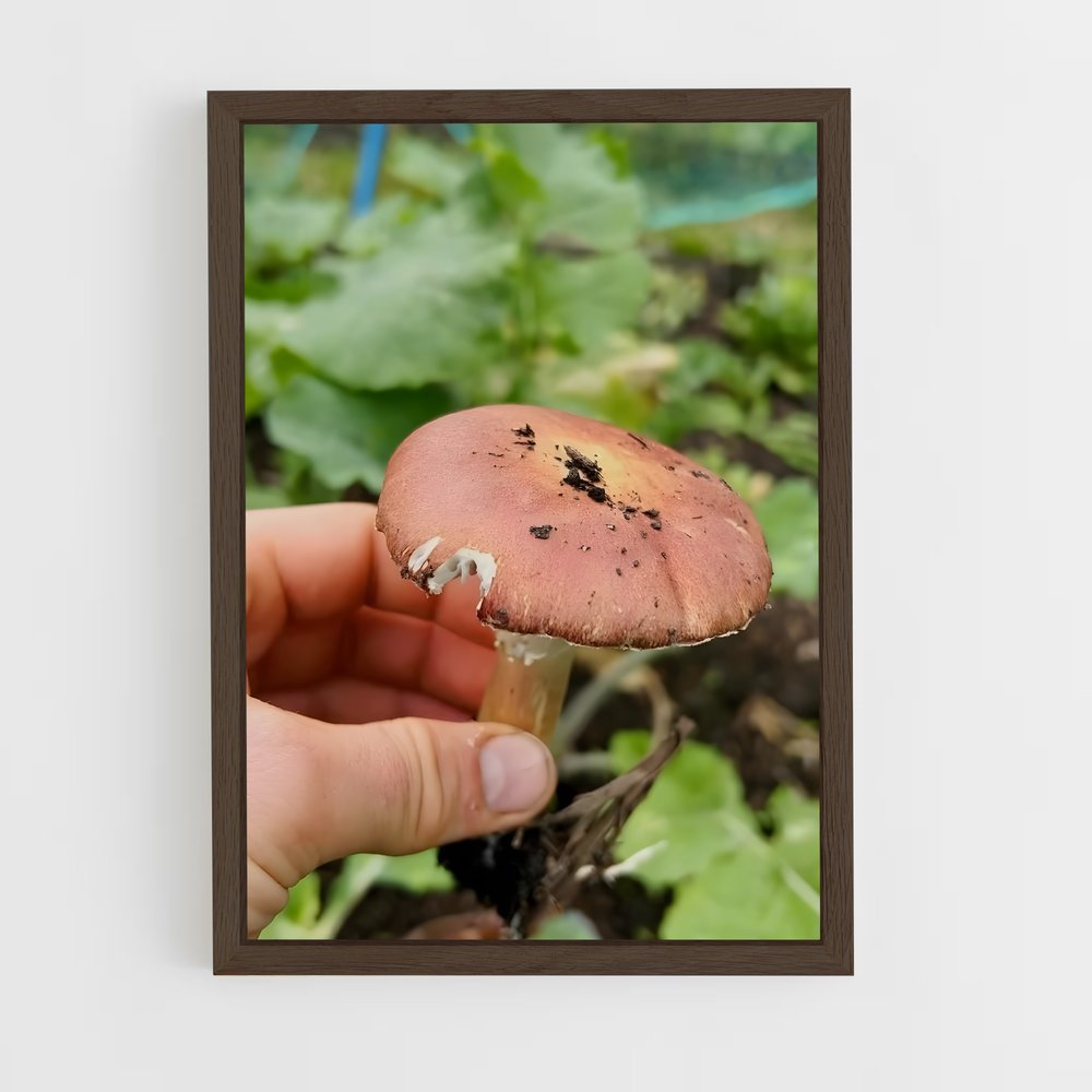 ap-wine cap-1 cadre Bois foncé