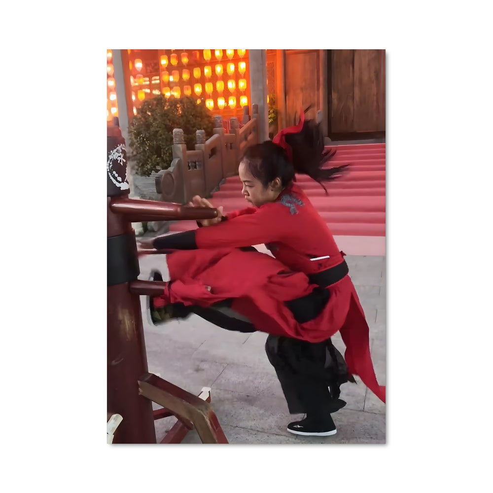 Poster Wing chun 62668