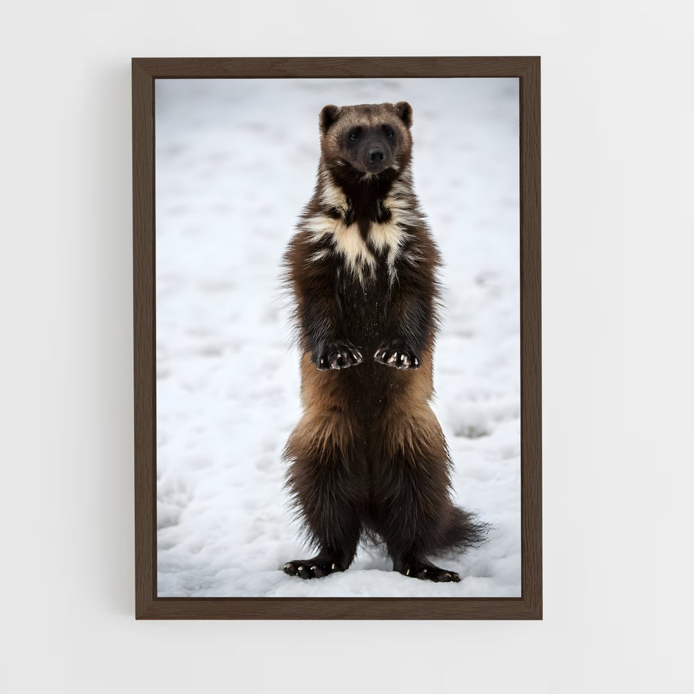 ap-wolverine-8 cadre Bois foncé