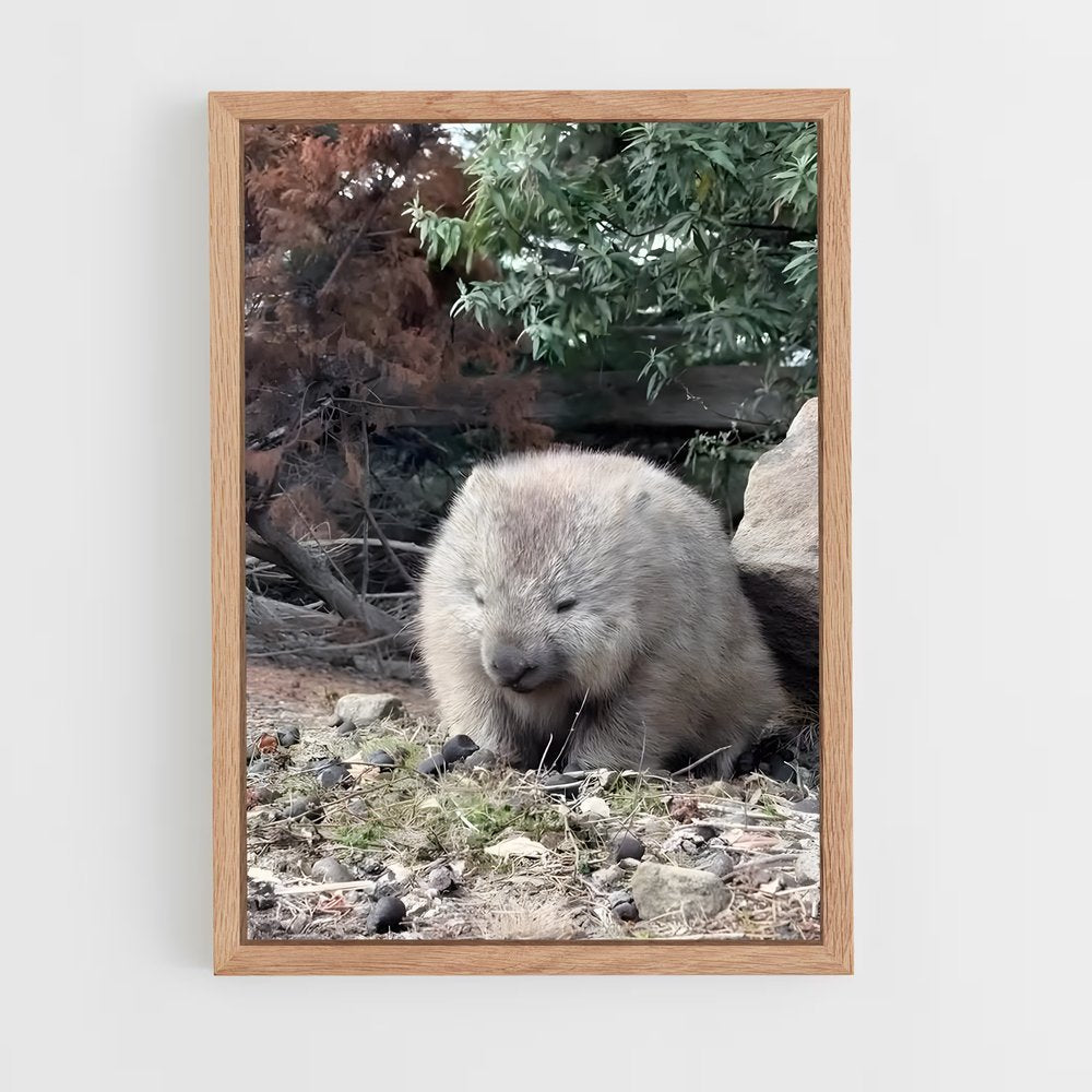 ap-wombat-1 cadre Bois clair