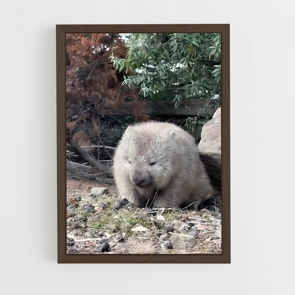 ap-wombat-1 cadre Bois foncé
