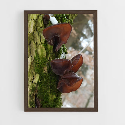 ap-wood ear-2 cadre Bois foncé