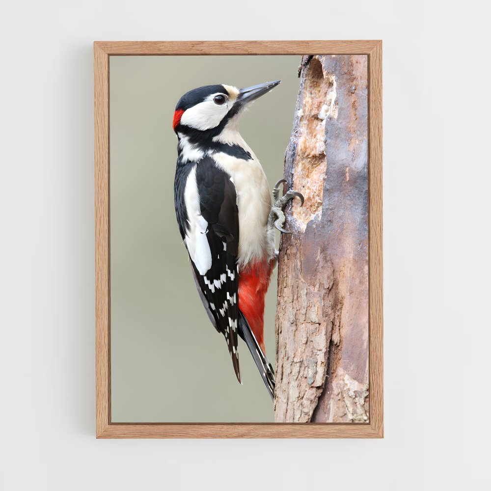 ap-woodpecker-2 cadre Bois clair
