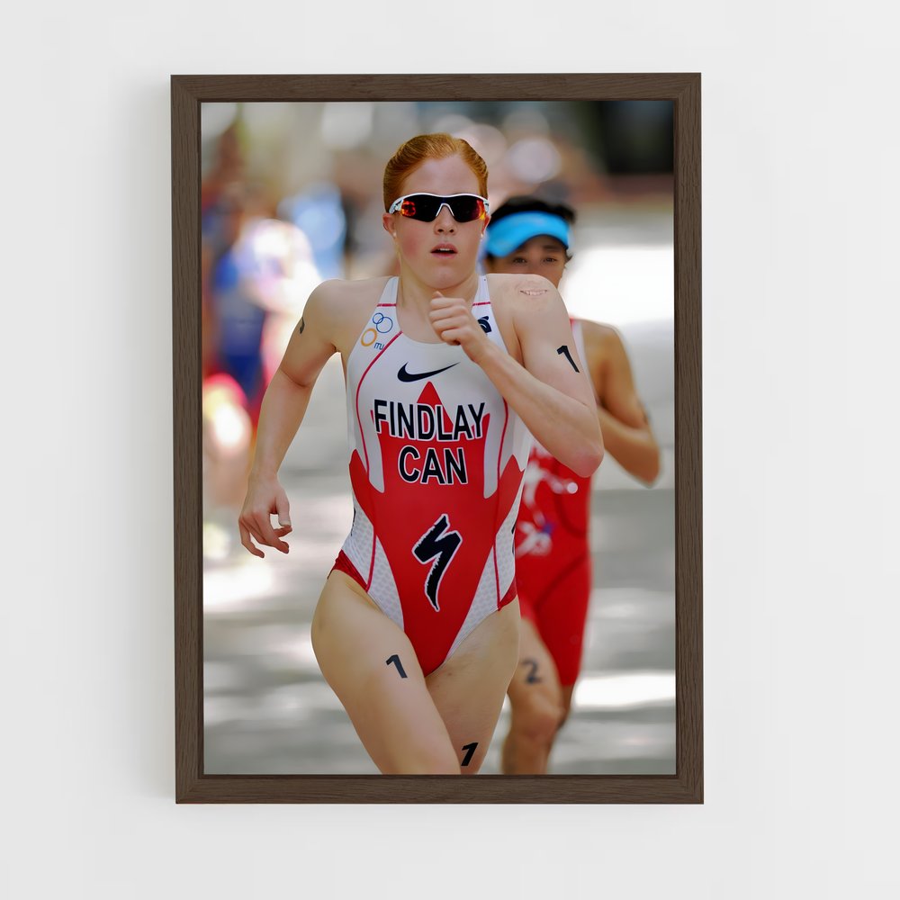 ap-world triathlon championship series-4 cadre Bois foncé
