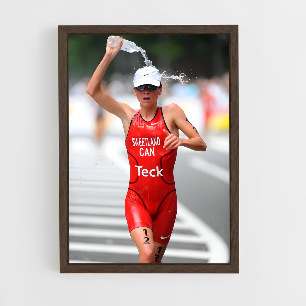 ap-world triathlon championship series-5 cadre Bois foncé
