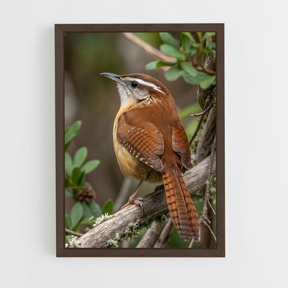 ap-wren-1 cadre Bois foncé