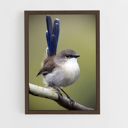 ap-wren-2 cadre Bois foncé