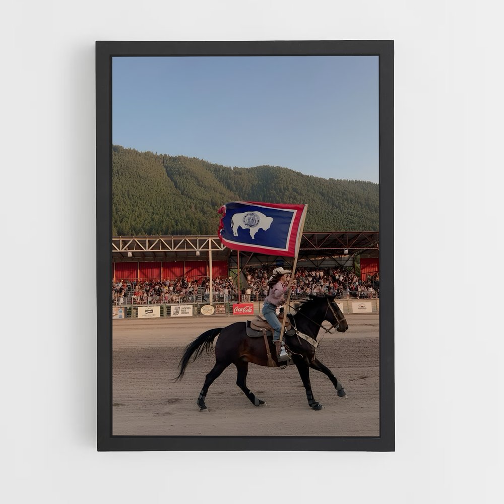 ap-wyoming flag-1 cadre Noir
