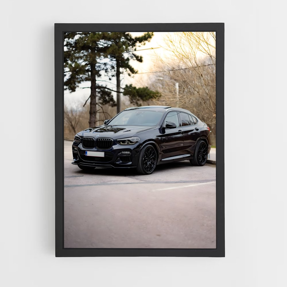 ap-x4m-1 cadre Noir