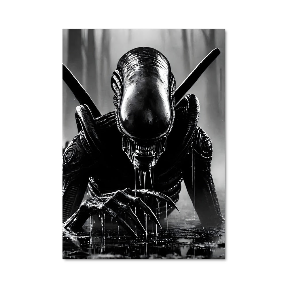 Poster Duel Noir