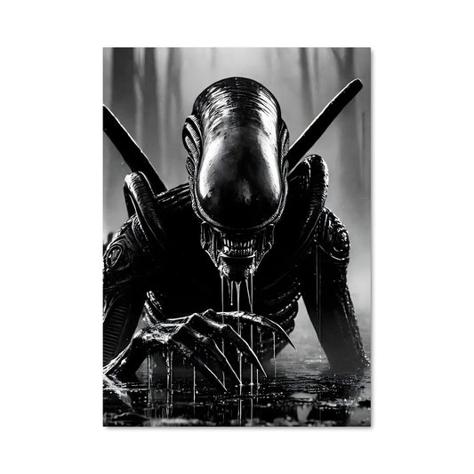 Poster Duel Noir