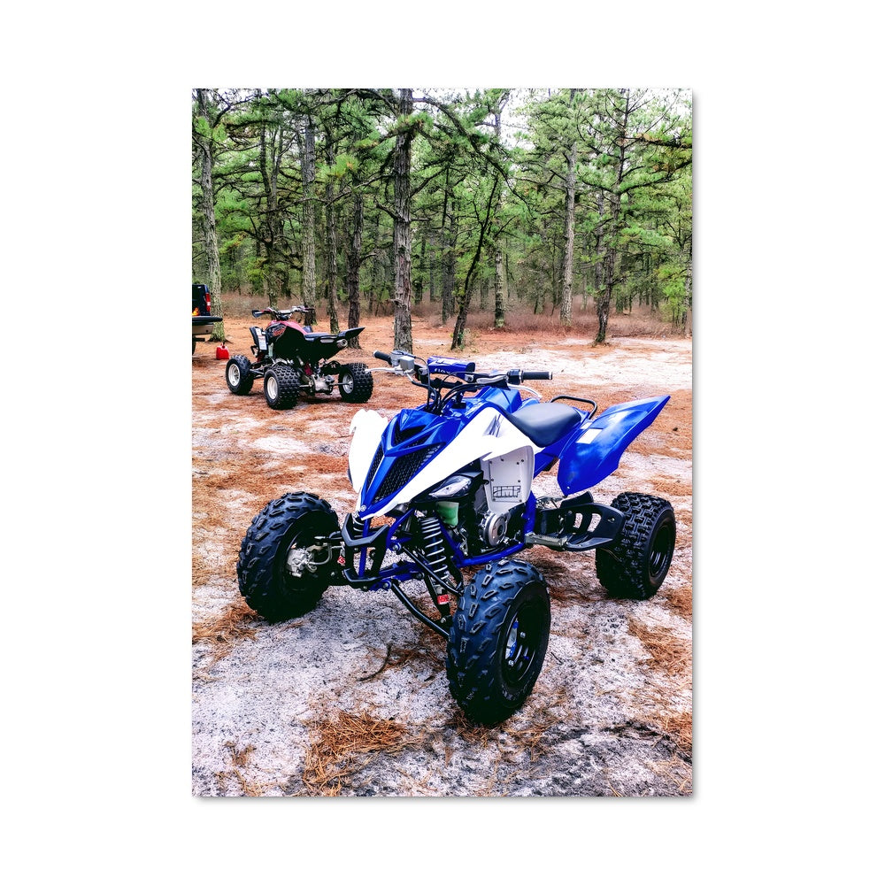 Poster Raptor Aventure