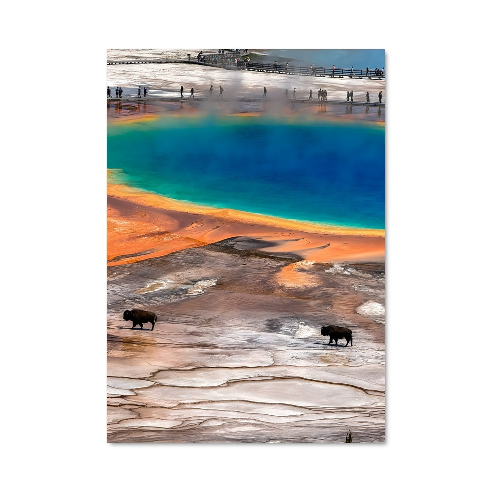 Poster Reflets du Yellowstone